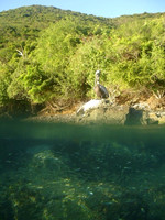 In-between (US Virgin Islands)