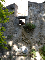 DSC03107