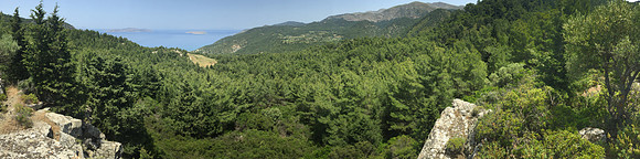 IMG_7303