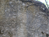 DSC01223