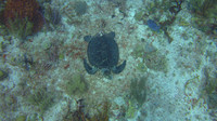IMG_6158