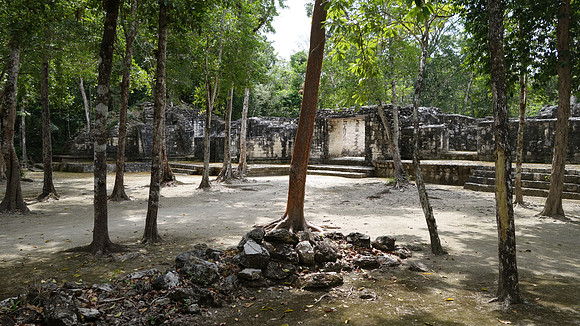 DSC01360