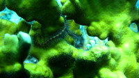 IMG_0076