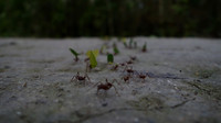 DSC01193
