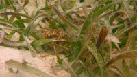 IMG_0600