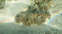 DSC02058