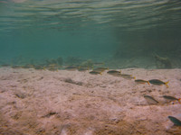 IMG_6719