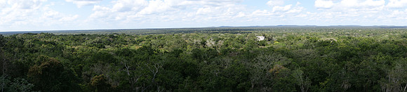 DSC01260