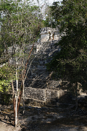 DSC01297