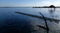 Bacalar