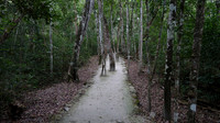 DSC01190