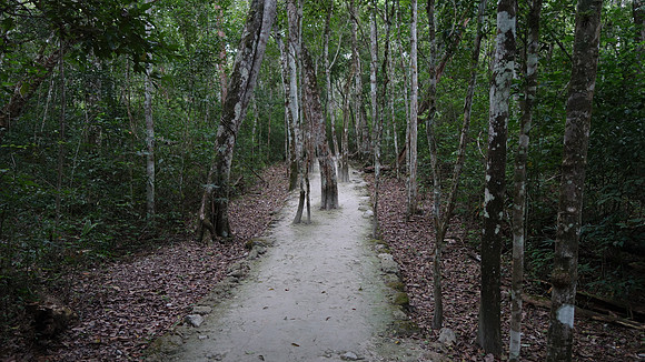 DSC01190