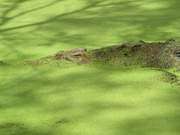 DSC04765