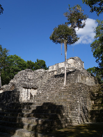 DSC01287