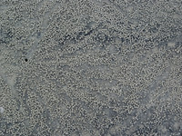 DSC01178
