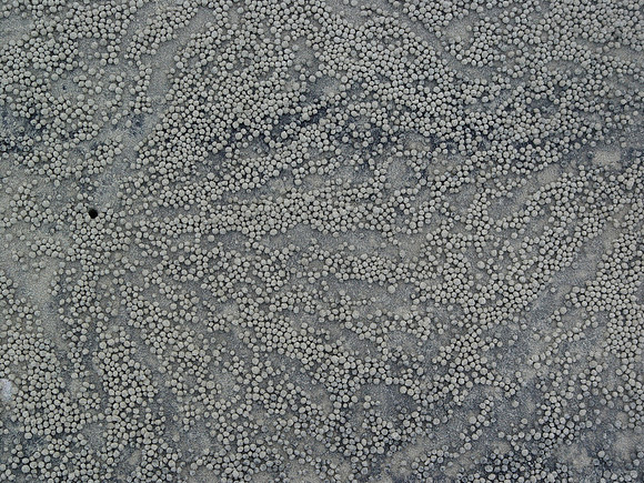 DSC01178