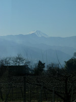 IMG_1941