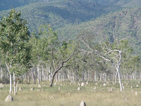DSC04808